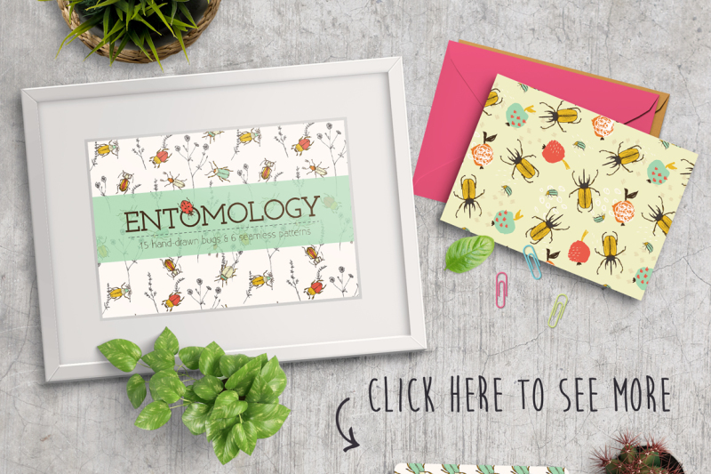 entomology-hand-drawn-bugs-and-patterns