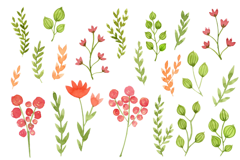 digital-clip-art-watercolor-flowers-floral-meadow