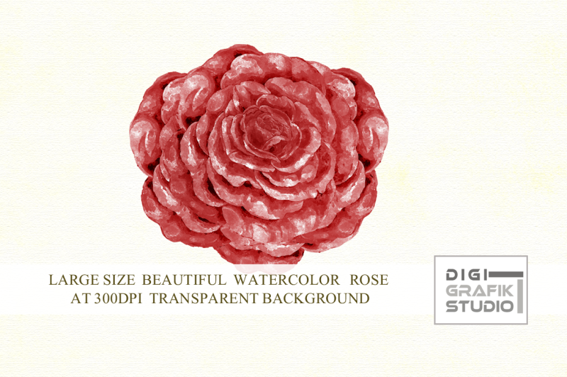 watercolor-rose-rose-clipart-rose-image-flower