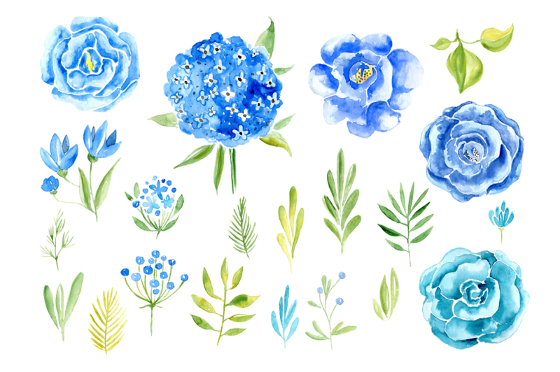 watercolor-blue-flowers-and-floral-elements