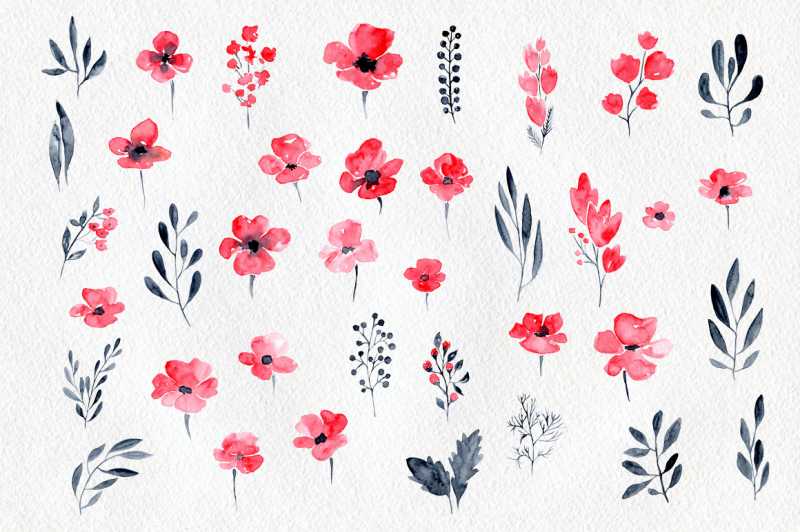 watercolor-red-scarlet-poppy-flowers-leaves