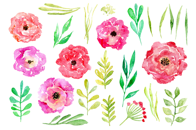 watercolor-flowers-collection-purple-pink-red