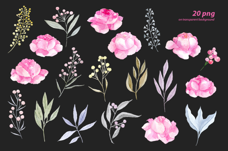 watercolor-pink-roses-png-floral-clipart