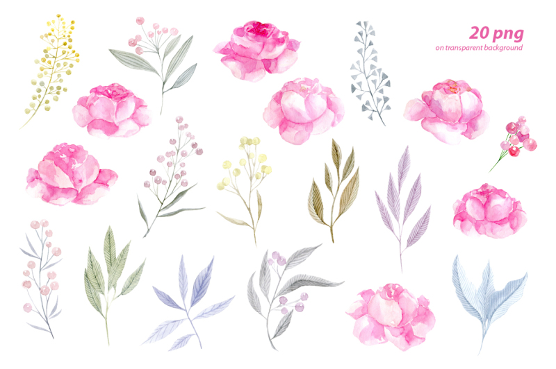 watercolor-pink-roses-png-floral-clipart