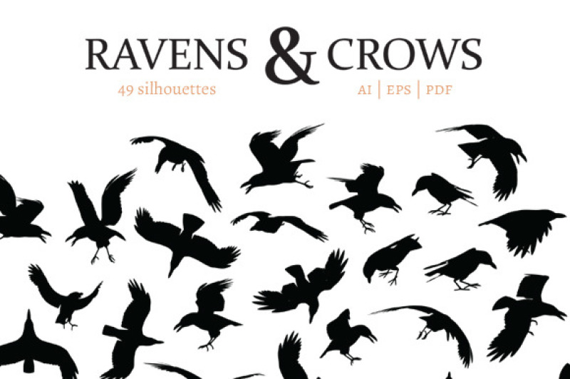 ravens-and-crows