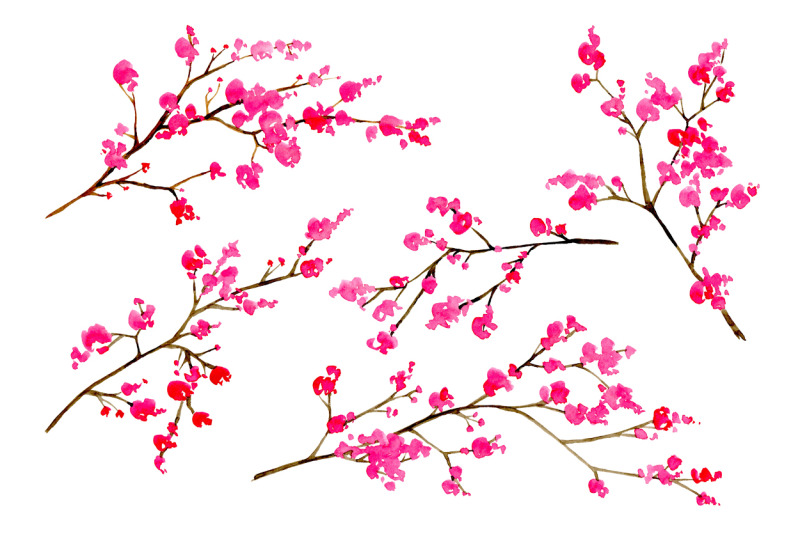 watercolor-blossom-floral-branches-png