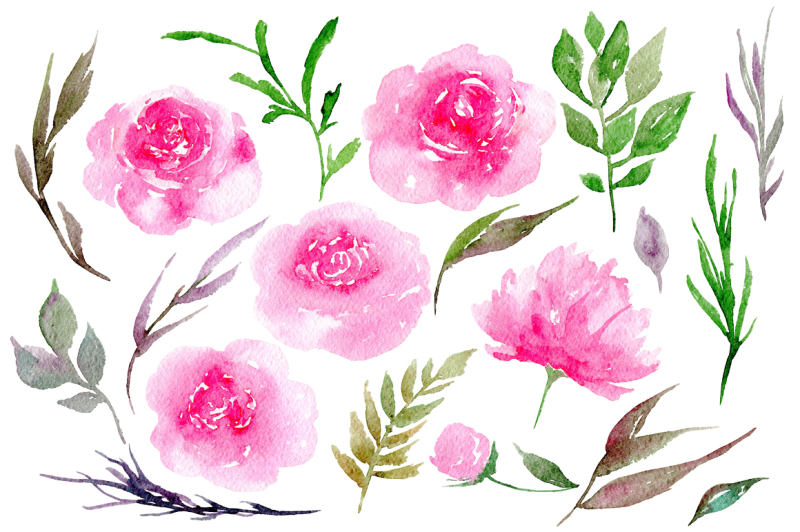 watercolor-pink-peony-flowers-19-png