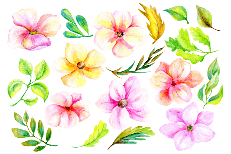 pencil-and-watercolor-floral-clip-art-flowers-leaves