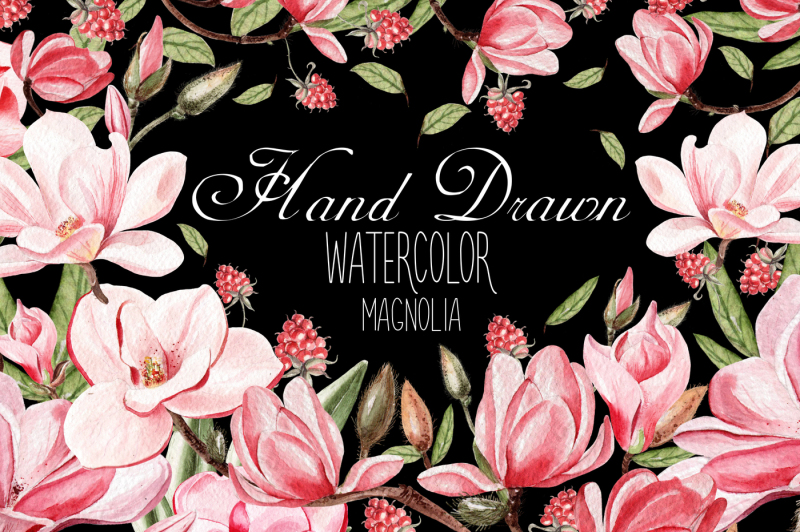 hand-dawn-watercolor-magnolia