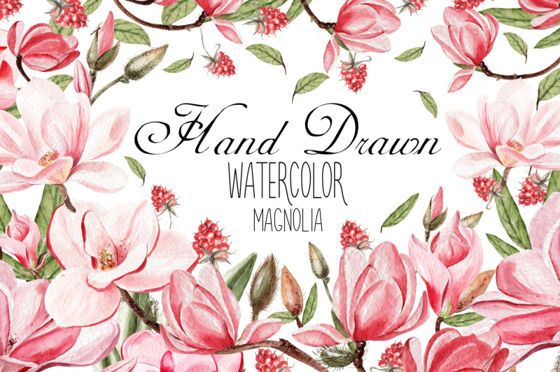 hand-dawn-watercolor-magnolia