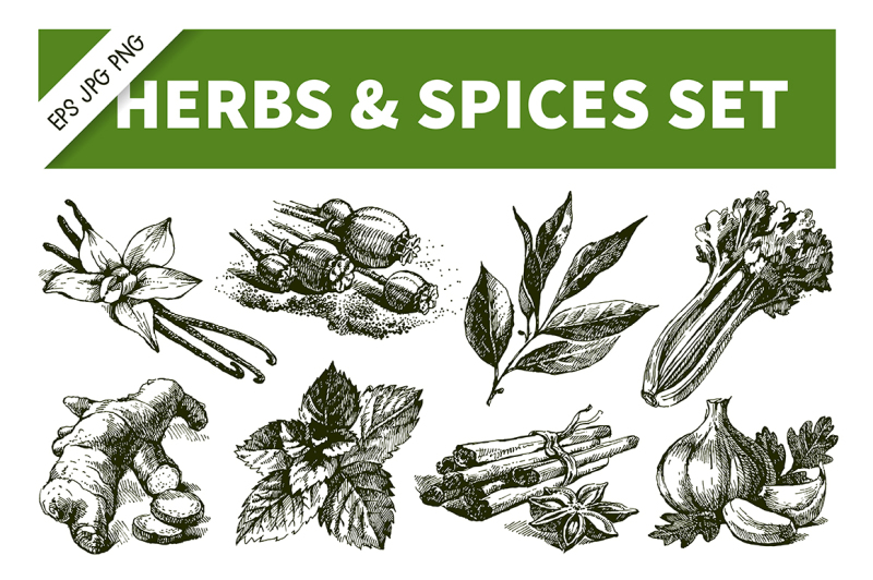 herbs-and-spices-hand-drawn-sketch-vector-set