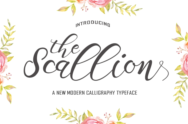 the-scallion