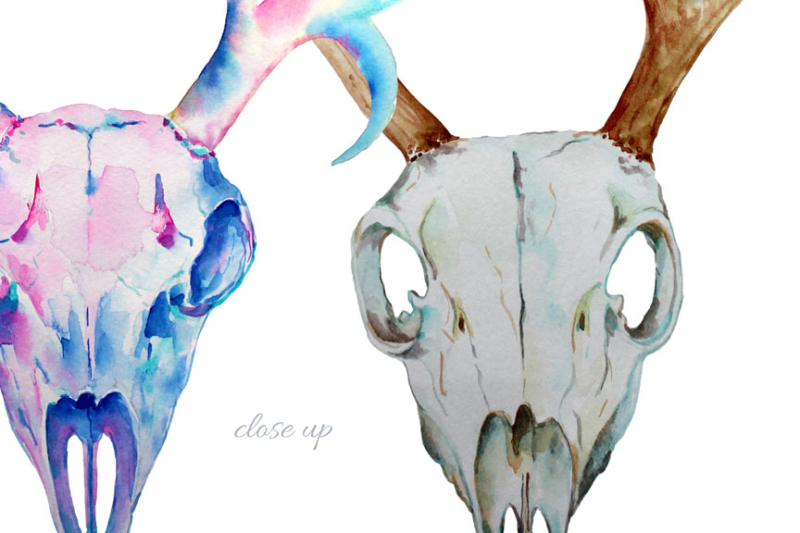 watercolor-deer-skull-clipart