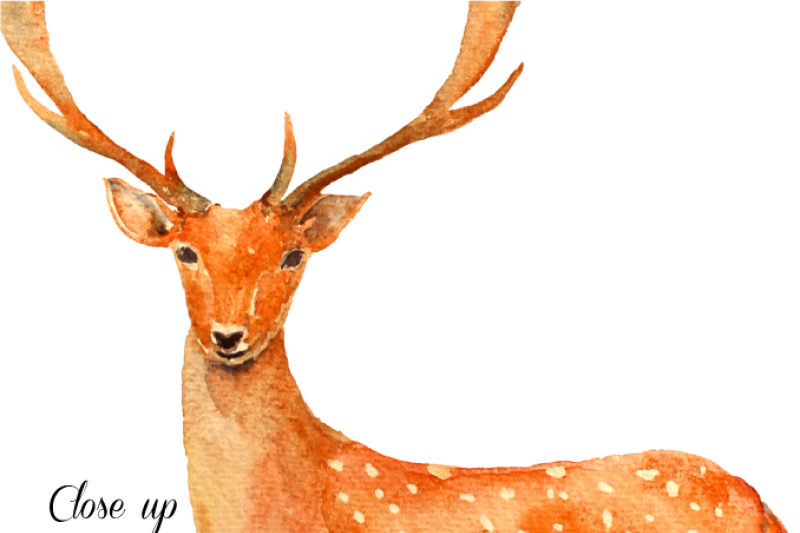 watercolor-fallow-deer-family