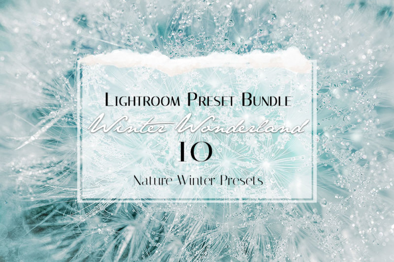 winter-wonderland-lightroom-preset-bundle