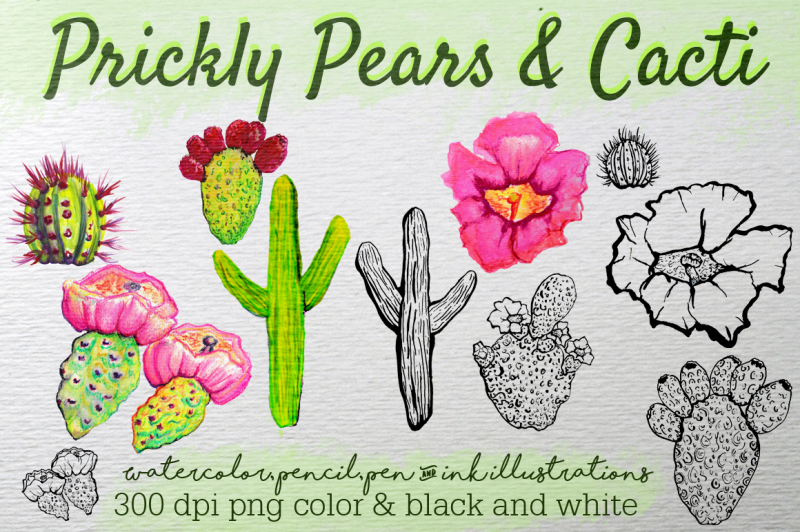 hand-drawn-clip-art-prickly-pears-and-cacti