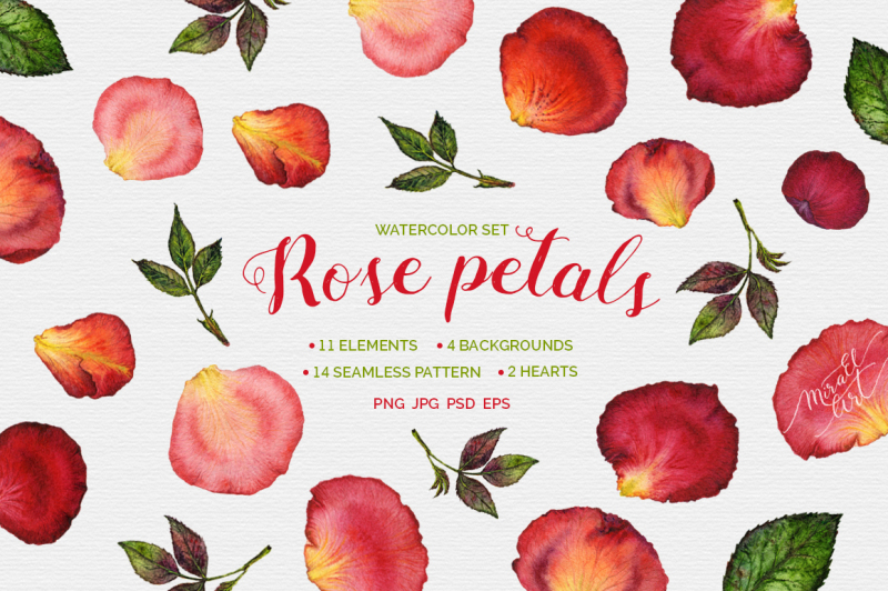 floral-watercolor-rose-petals