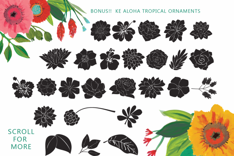 ke-aloha-script-tropical-bonus