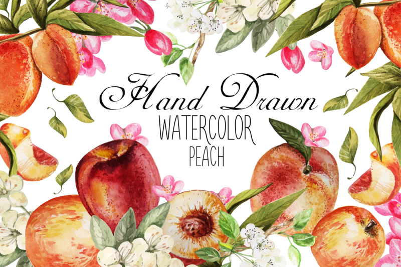hand-drawn-watercolor-peach