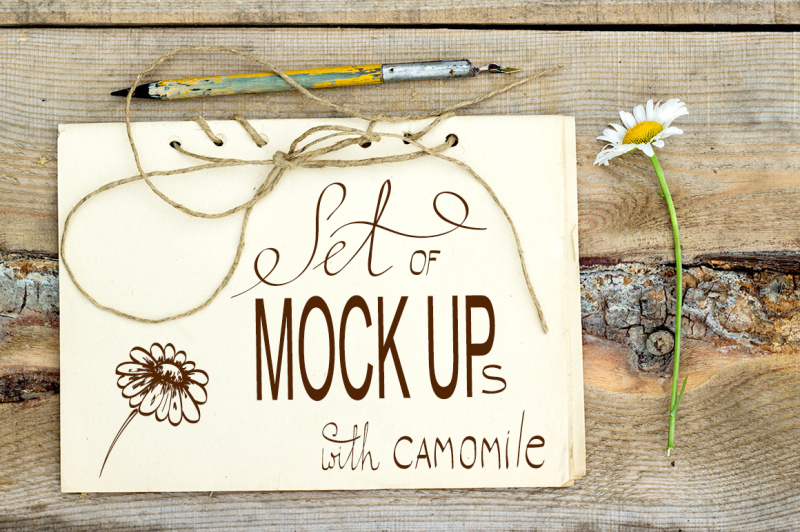 set-of-retro-mockups-with-camomile