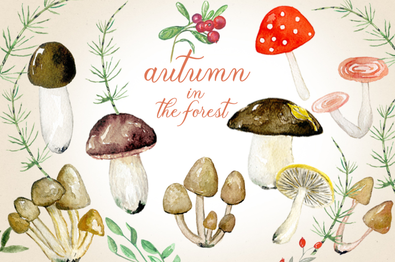 autumn-in-the-forest-watercolor-clipart-set