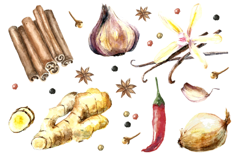 herbs-and-spices-watercolor-set