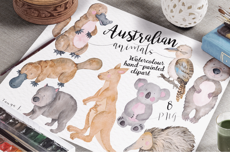 australian-watercolor-animals-collection