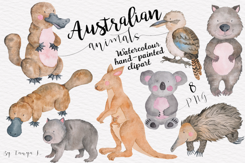 australian-watercolor-animals-collection