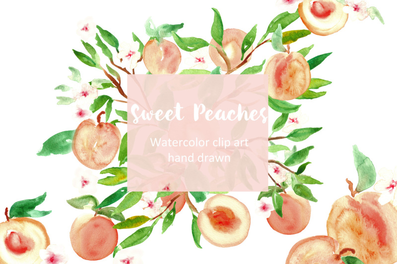 peach-watercolor-clip-art