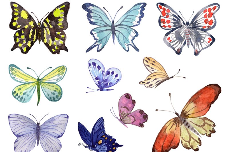 butterflies-watercolor-set