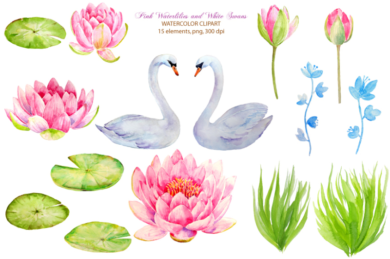 wedding-clipart-waterlily-and-swans