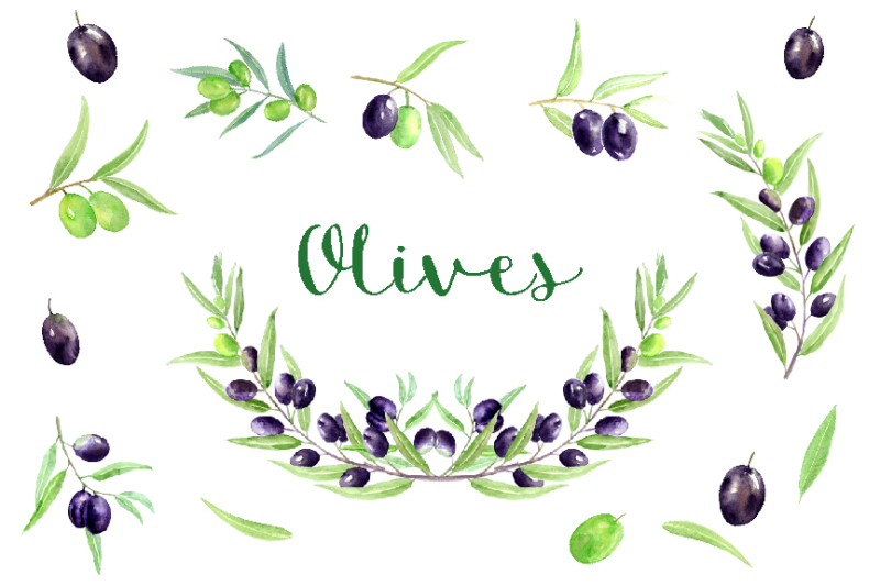 watercolor-clipart-olives