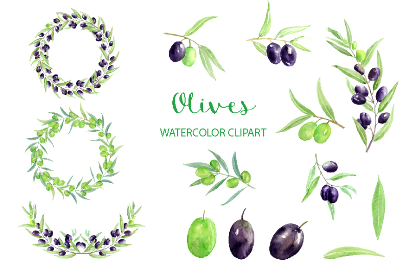 watercolor-clipart-olives