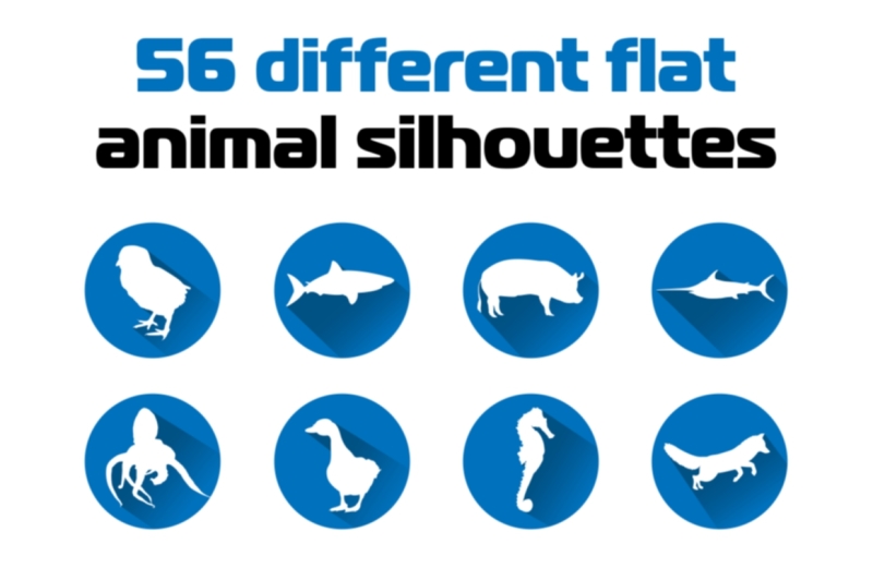 exclusive-56-different-flat-animal-silhouettes-icon-set