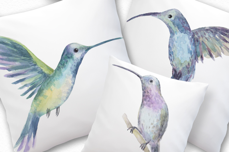 watercolor-colibri-set