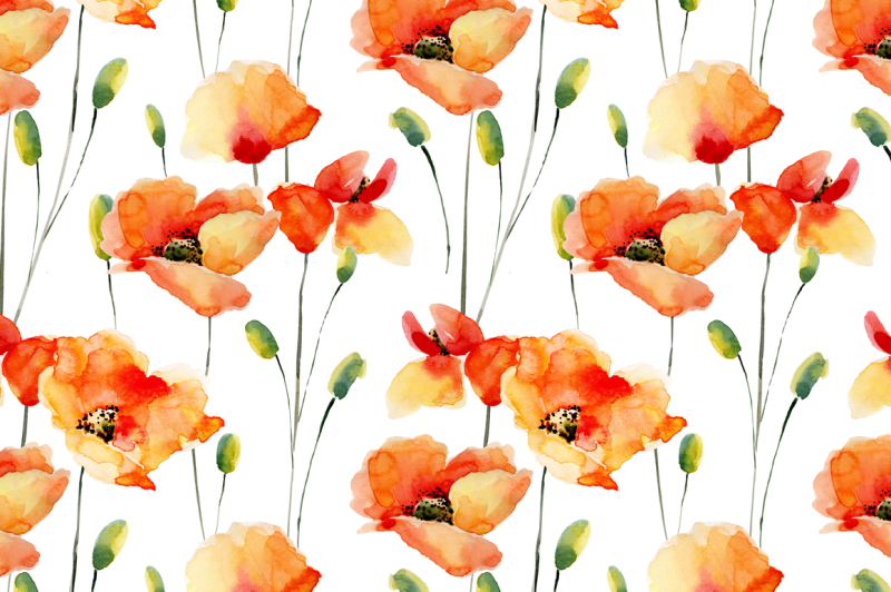 watercolor-poppies-flowers-set-bonus