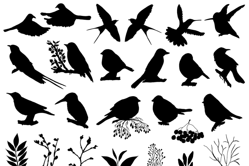 sketch-birds-vector-set