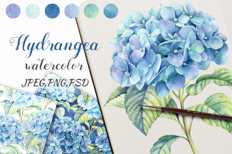 watercolor-blue-hydrangea