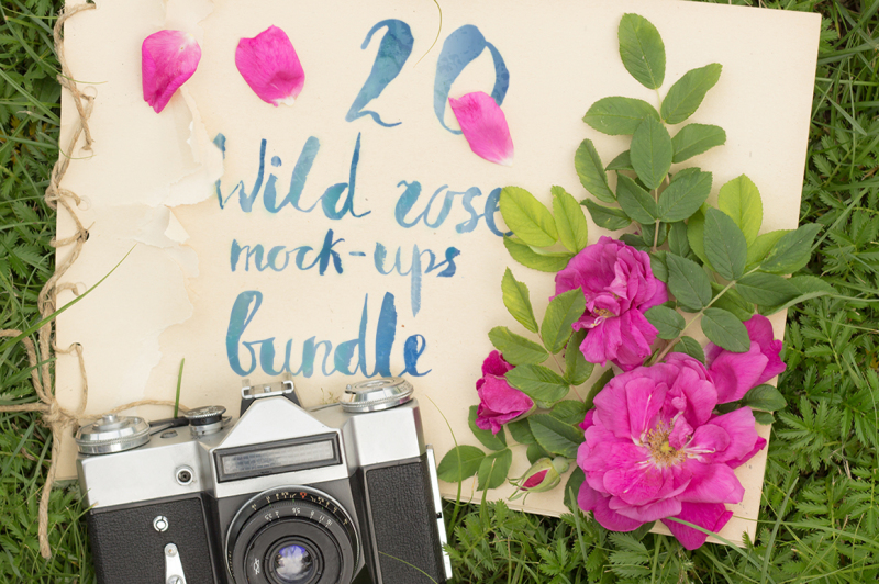20-wild-rose-mock-ups-bundle