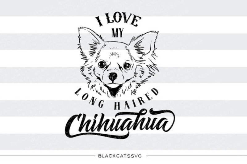 i-love-my-long-haired-chihuahua-svg-file