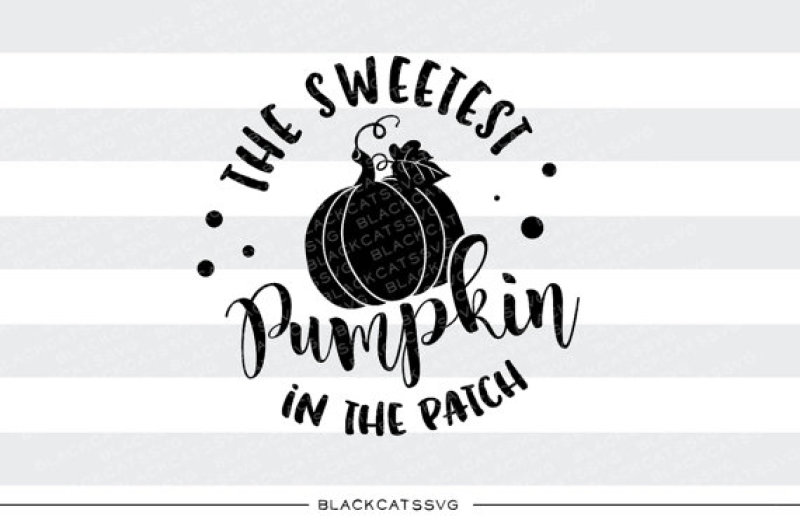 the-sweetest-pumpkin-in-the-patch-svg-file