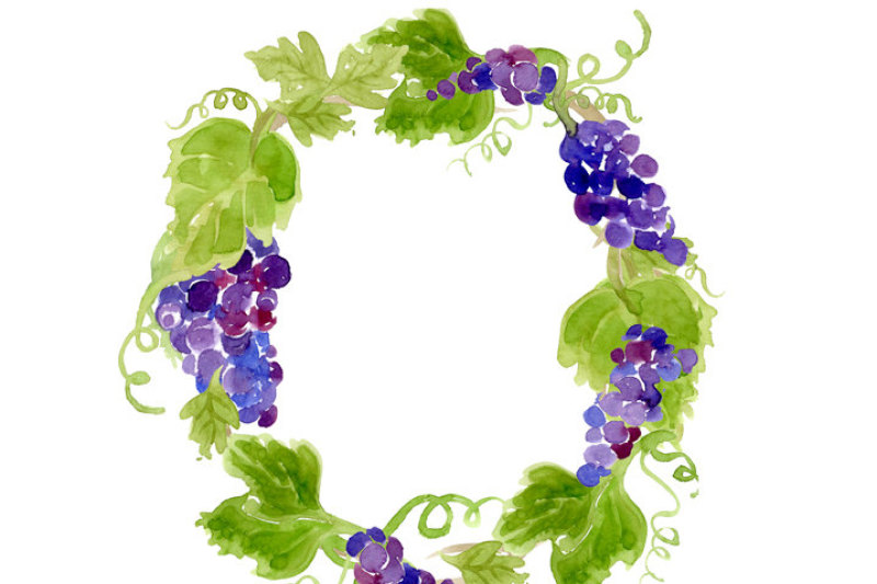 digital-clipart-vineyard-clip-art-watercolor-grapes-foliage