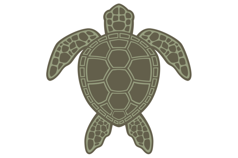 green-sea-turtle