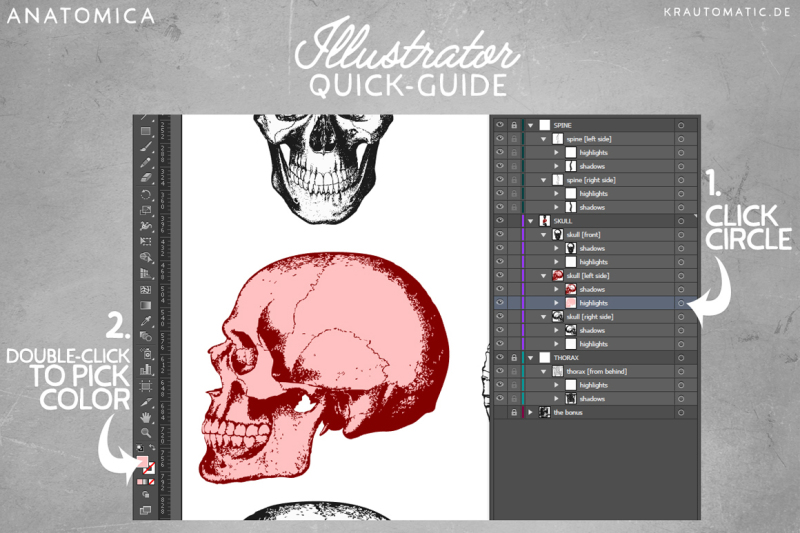 anatomica-vector-psd-graphics-pack