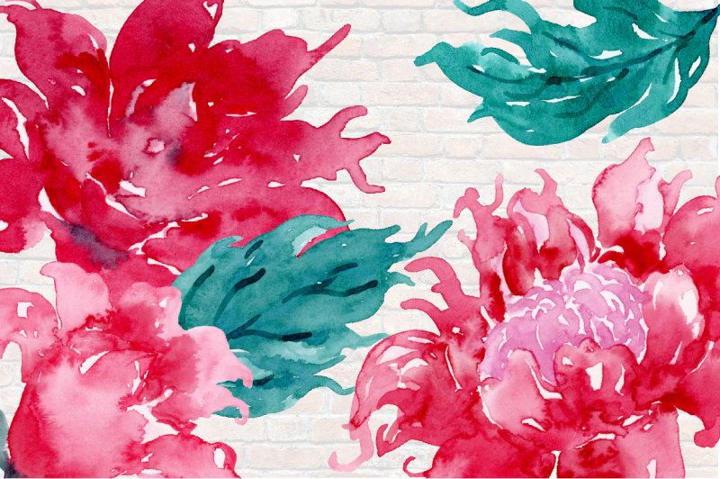 watercolor-clipart-christmas-peonies