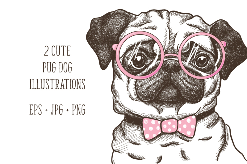 hand-drawn-funny-fashionable-pug