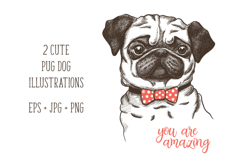 hand-drawn-funny-fashionable-pug