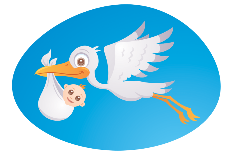 baby-delivery-stork