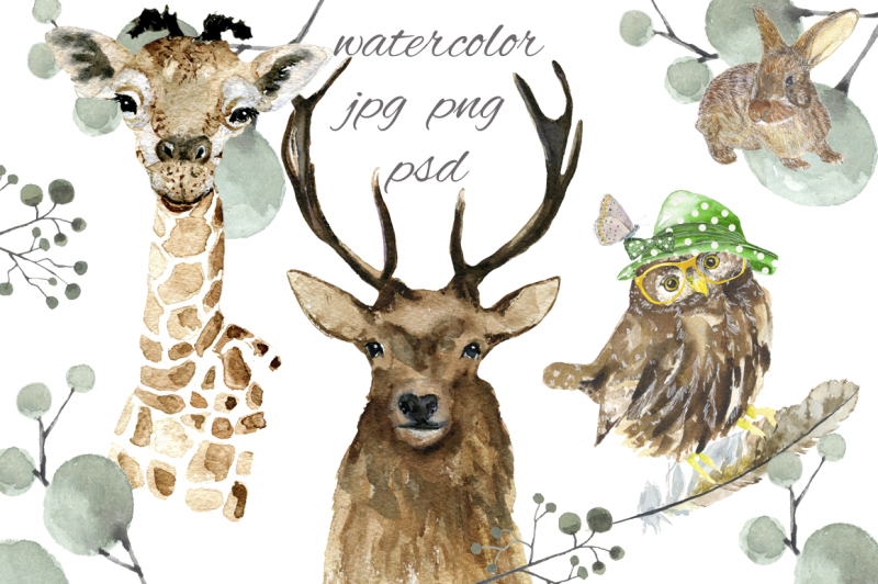 animals-watercolor