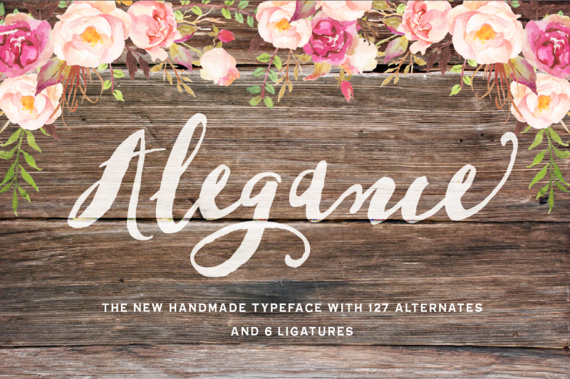 alegance-typeface